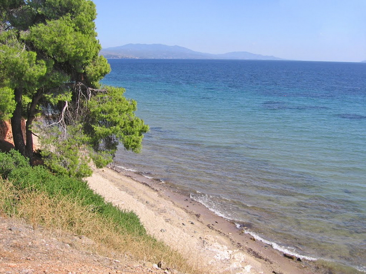  Metamorfosi, Sitonija 